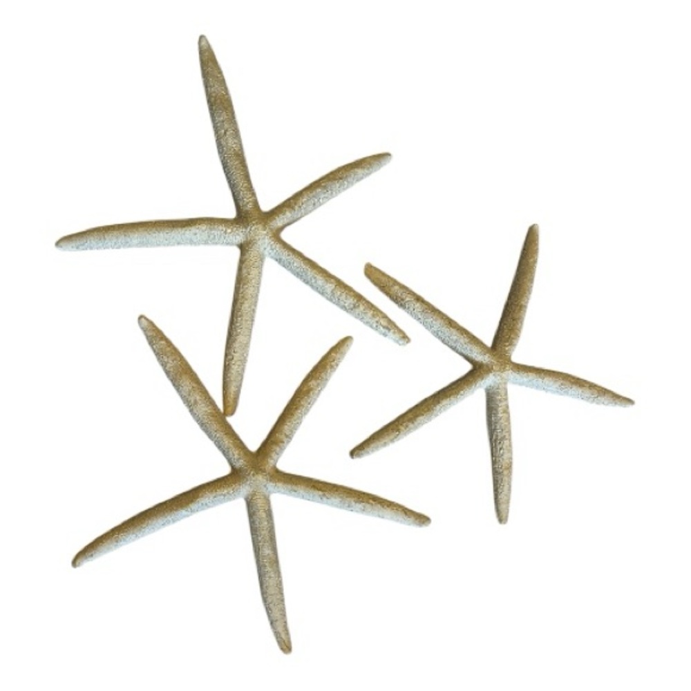Starfish Decor (Set of 3) - Coastal Home Decor
